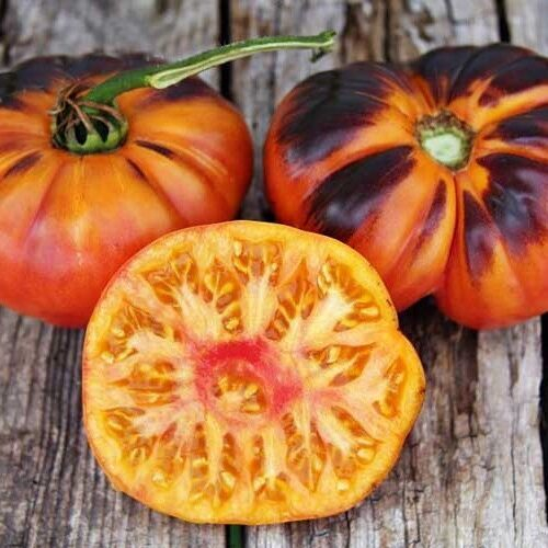 Послеобеденный Восторг Afternoon Delight