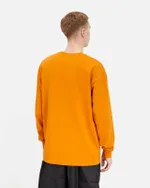 Лонгслив Anteater Phat Long097 оранжевый