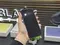 Б/У Телефон Apple IPhone 16 128Gb Ultramarine 89% (JD6LWFV7CX)