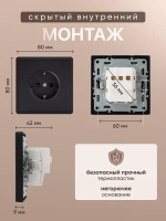 Розетка внутренняя одинарная с заземлением черная