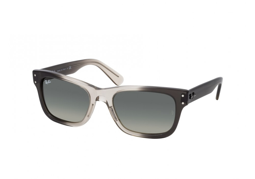 RAY-BAN BURBANK RB2283 134071