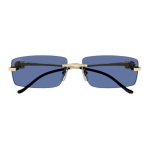 Очки CARTIER, CT0430S004