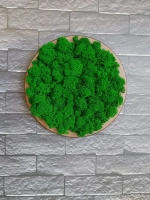 Круглое панно на стену из мха набор ОРЕХ 20 см. 3 шт.