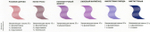 Пигмент прямого действия Ollin Matisse Color, фиолетовый 100 мл