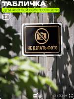 Табличка для частной территории "Не делать фото", на дом, для участка, организаций и частных территорий, предупреждающая, 40х30 см, Silver Plane x Айдентика Технолоджи