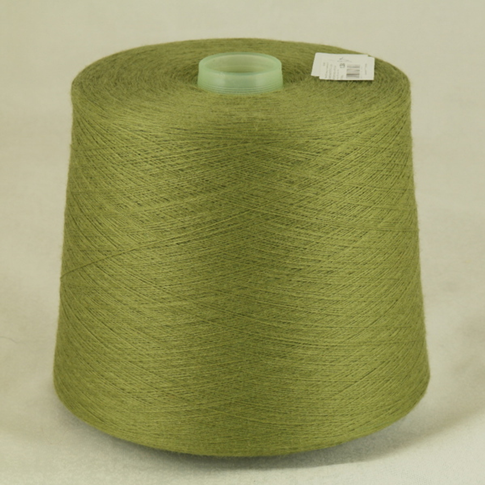 Лидия Сильвер ПШ