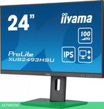 Монитор Iiyama ProLite XUB2493HSU-B6