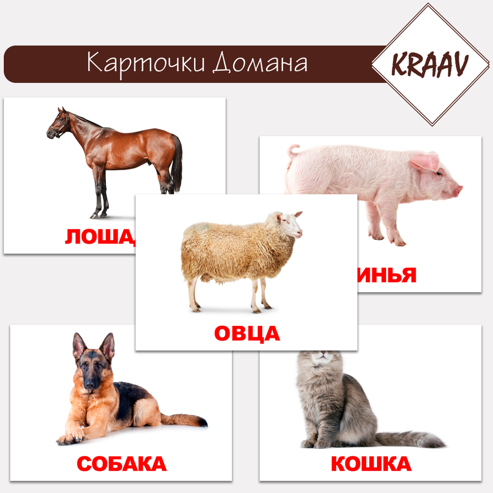 Карточки Домана "Домашние животные"