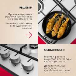 Газовая панель Hansa BHGI610502