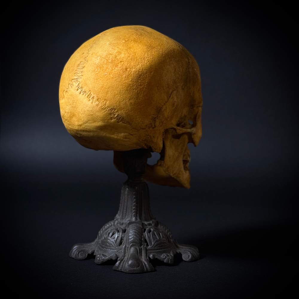 Статуэтка «Череп человека»