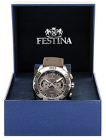 Мужские наручные часы Festina F16665/4