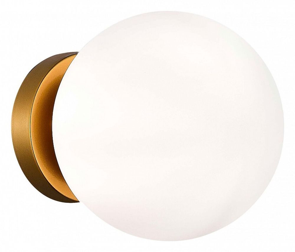 Накладной светильник EVOLUCE Acini SL717.201.01