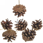 Украшение новогоднее «Шишки с золотым инеем» 5,5 см (набор 6 шт)