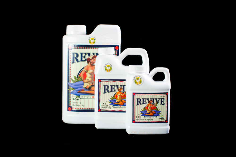 Revive