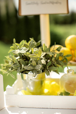 Фотозона "Lemon Party"
