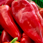 Каптур F1 семена перца сладкого (Seminis / Семинис)