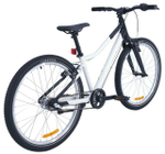 Подростковый велосипед Alpinebike Pegas 24 3 ск. (2025)