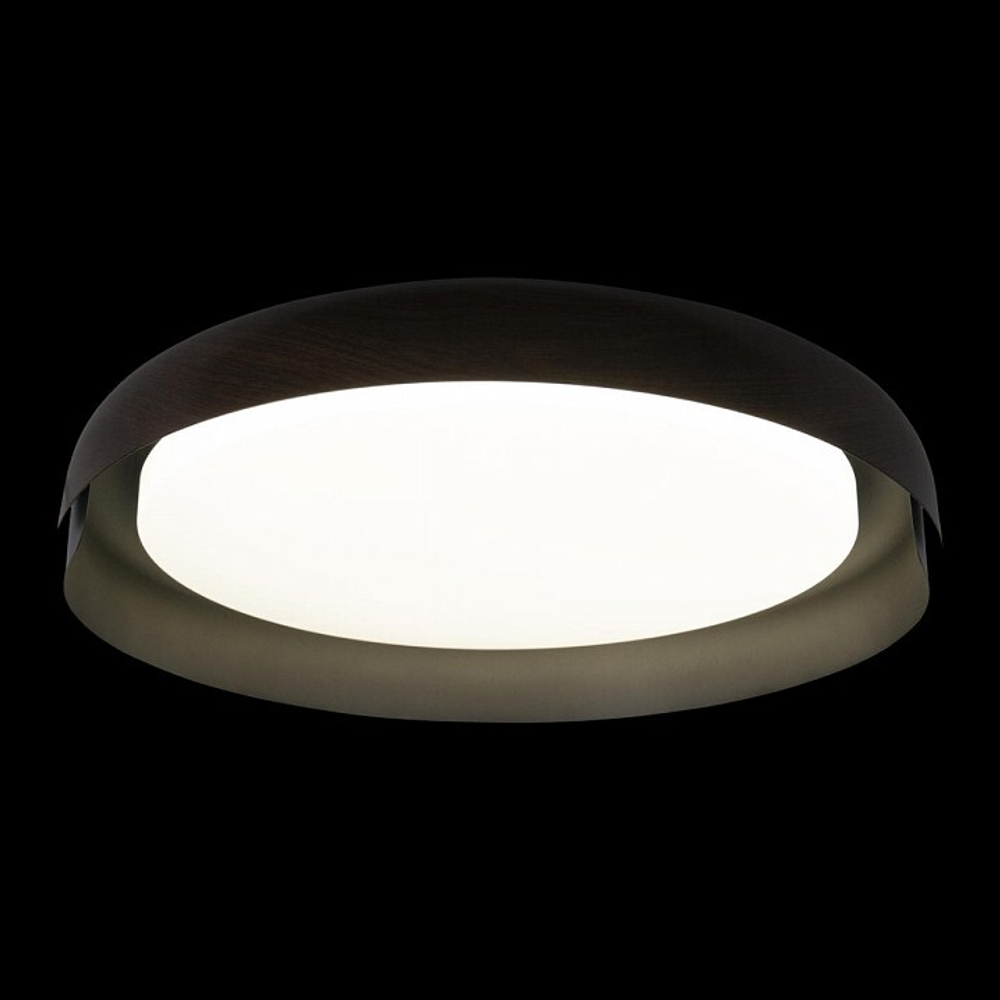 Накладной светильник Loft it Coin 10198 Black
