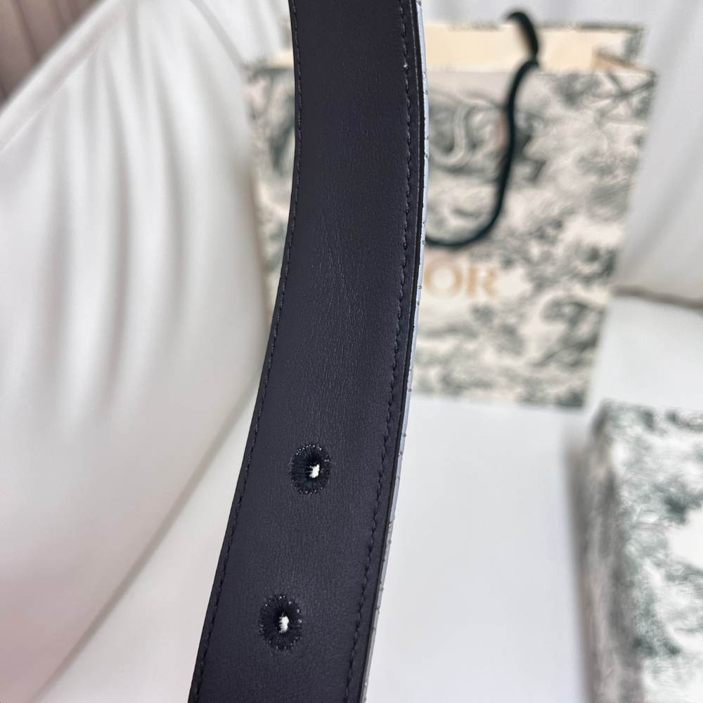 Christian Dior Reversible Belt