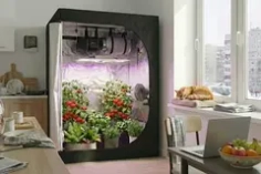 Гроутенты и гроубоксы