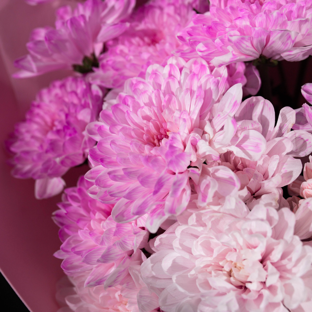 Букет хризантем Ванильное мороженое