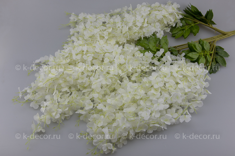 Глициния пышная (уп 12шт.)