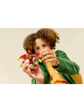 Конструктор NINJAGO 71851 Боевой набор «Дракон» от Kai