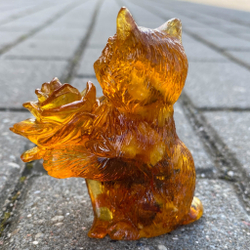 Кот с розочкой