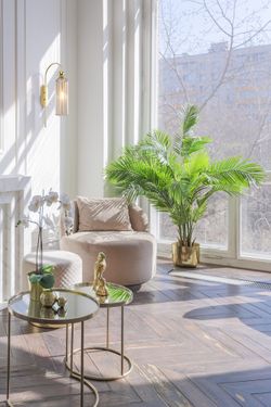 Бра Maytoni Antic MOD302WL-01CG