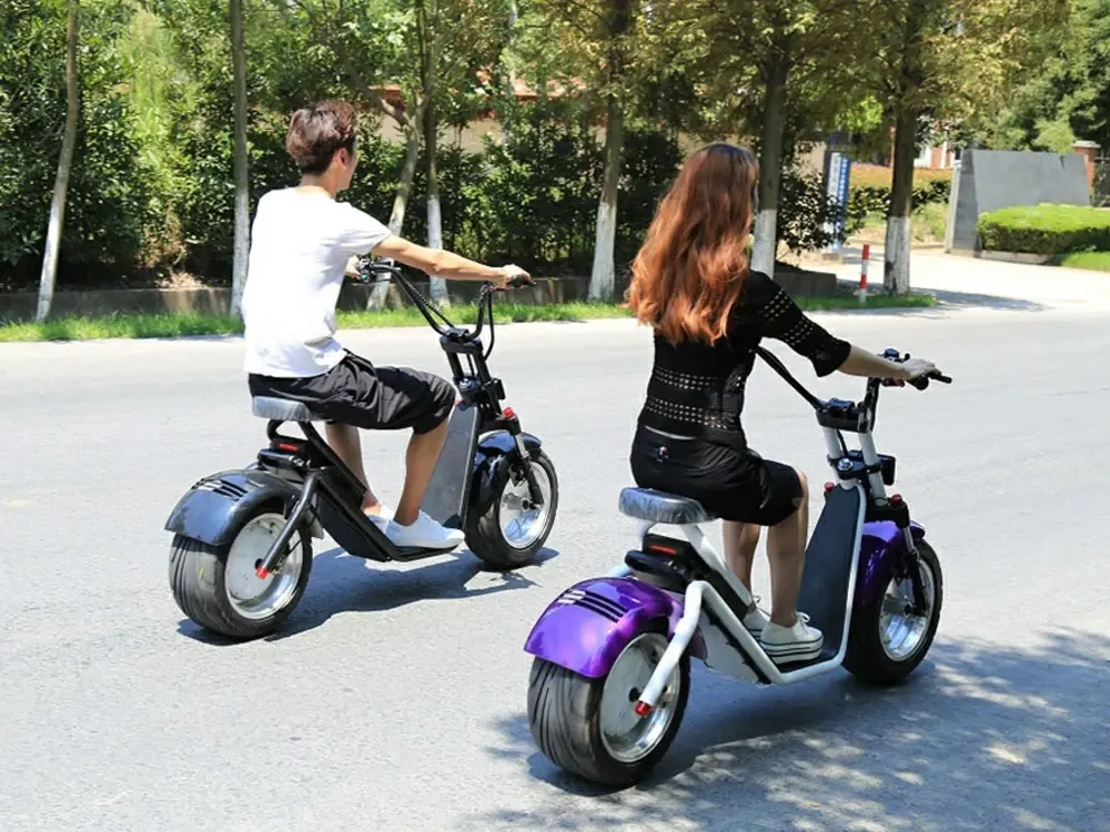 Электросамокат El-sport New Design Citycoco 1000W 60V, 12Ah