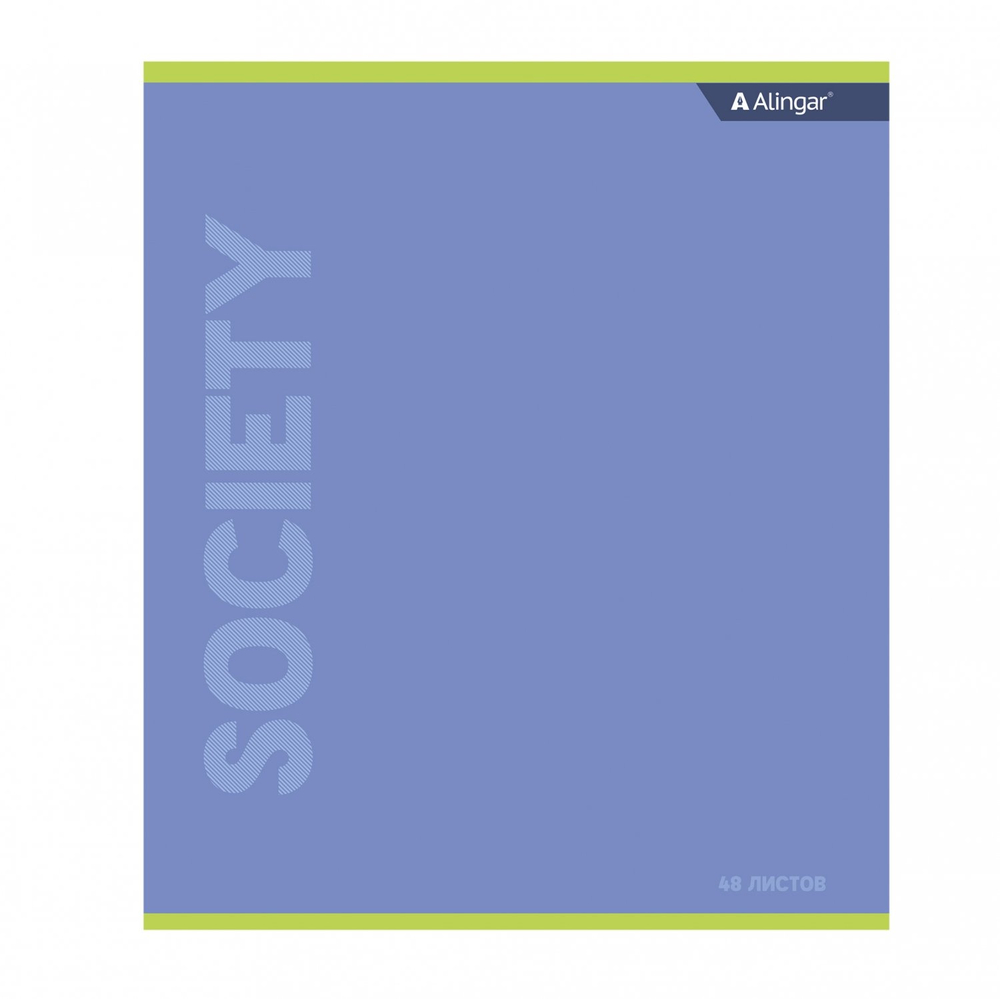 Комплект предметных тетрадей А5 48л., 12 предм., со справочным материалом, скрепка, мелованный картон (стандарт), блок офсет, Alingar "Классика"