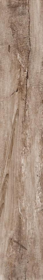 Rondine Living Marrone 15x100