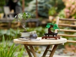 Конструктор LEGO Botanical Collection 10281 Бонсай