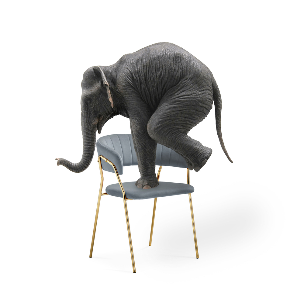 Стул на металлокаркасе Woodville Kamelia 1 gray, gold