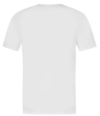 Мужская теннисная футболка Le Coq Sportif Tricolor - белый