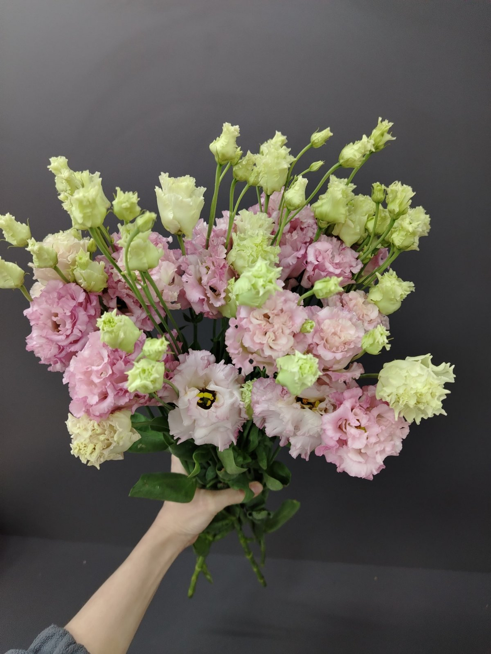 Пять веточек эустомы в упаковке