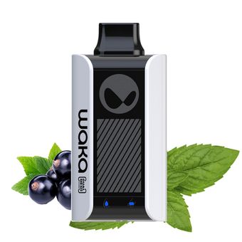 WAKA soPro PA10000 Черная смородина Мята - Blackcurrant Mint
