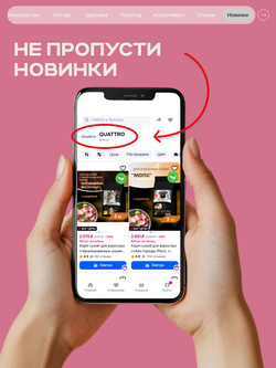 Корм сухой для взрослых собак породы Пекинес, с говядиной, 800 гр, QUATTRO