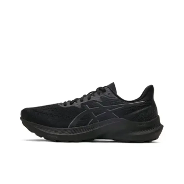 Мужские кроссовки ASICS GT-2000 12 'Triple Black' 1011B691-001