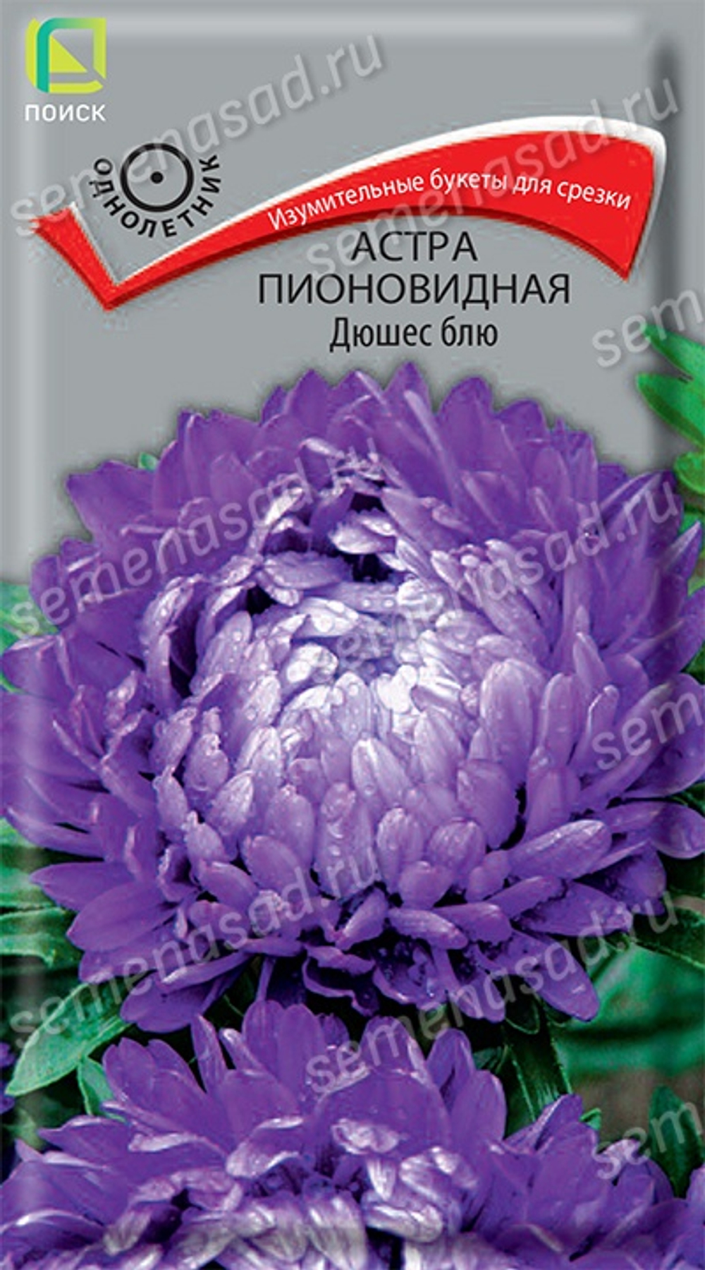 Астра пионовидная Дюшес блю 0,3гр. (Поиск)