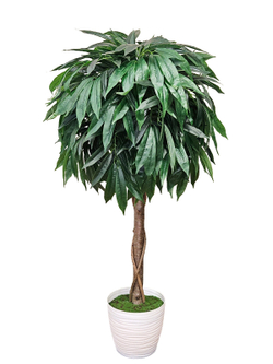 Искусственное дерево Фикус Лонгифолия шар 120см в кашпо