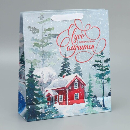 Пакет подарочный «Чудеса случаются», 26х30х9 см