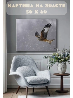 Картина на стену 40 X 50 Сокол