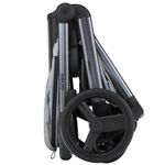 Детская коляска Anex l/type 3 в 1 Frost