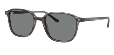 Ray Ban Leonard RB2193 1314B1 / 51