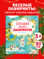 Лабиринты. Большая книга лабиринтов