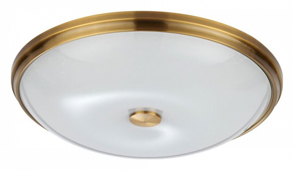 Накладной светильник Odeon Light 4956/5
