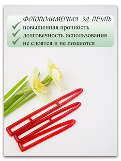 Лист нарцисса узкий