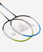 Набор для бадминтона WISH Family set 216, 4 ракетки, 3 волана, синий/зеленый