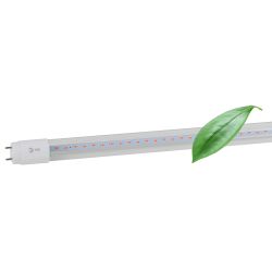 Фитолампа для растений светодиодная ЭРА FITO-18W-RB-Т8-G13-NL и мясных прилавков 18 Вт Т8 G13 красно-синего спектра